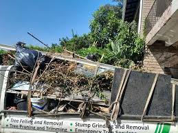 Best Construction Debris Removal  in Hollandale, MS